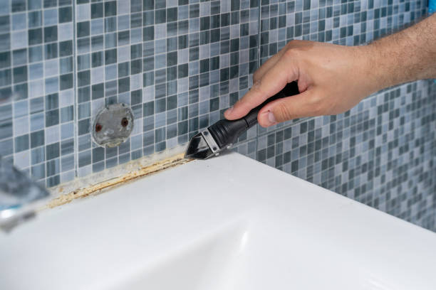 Hoschton, GA Mold Removal Company
